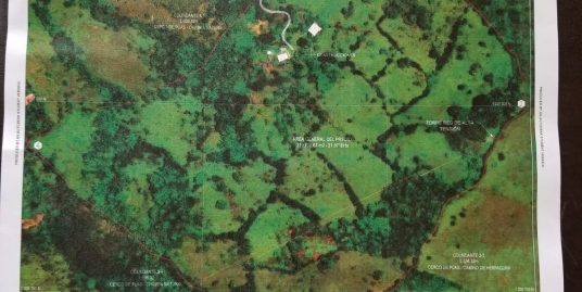 FINCA PARA LA VENTA MUNICIPIO DE BARBOSA