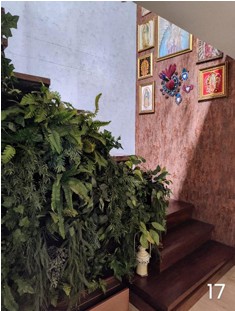 ESCALAS